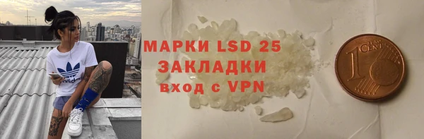 apvp Алзамай