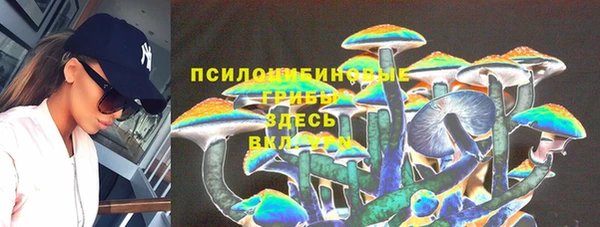 шишки Аркадак