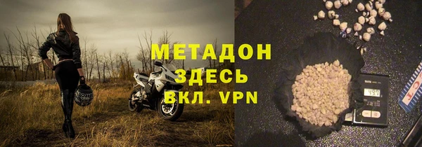 индика Алексин