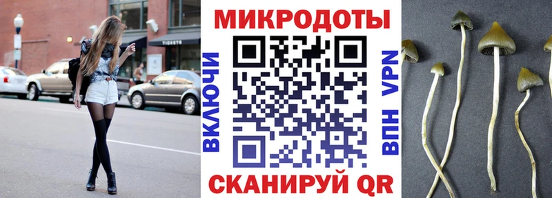 Псилоцибиновые грибы Cubensis Майкоп